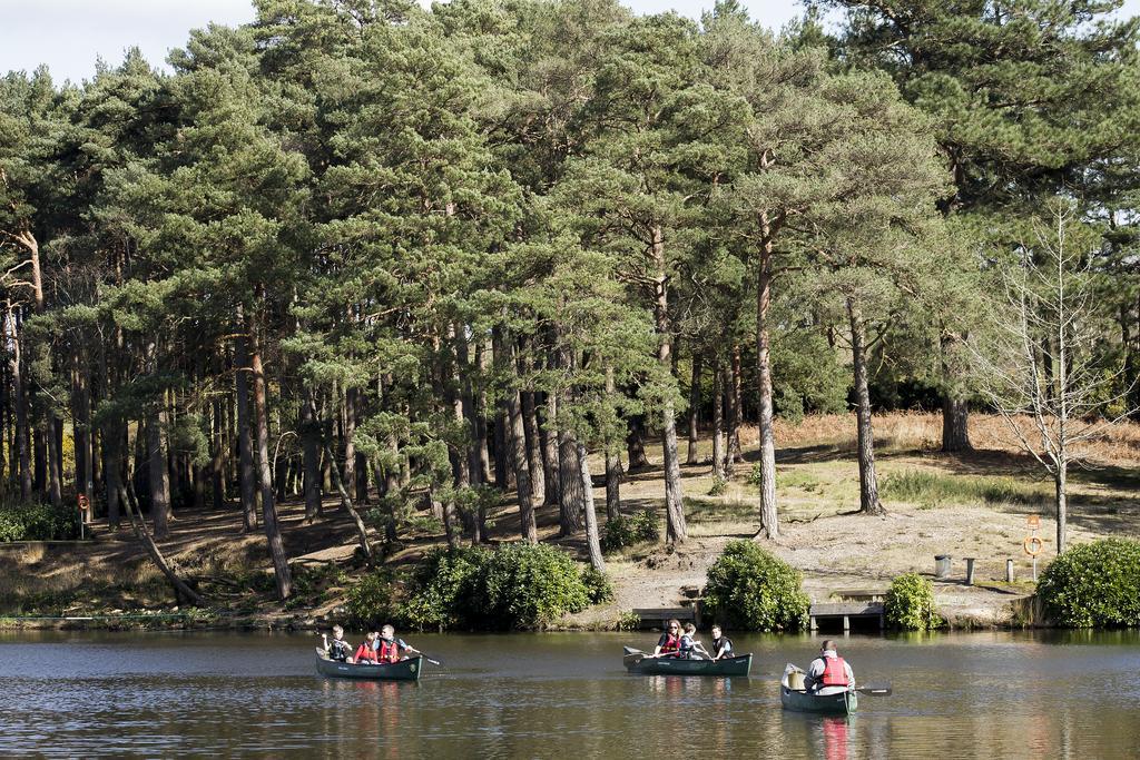 Avon Tyrrell Outdoor Activity Centre Villa Bransgore Exteriör bild